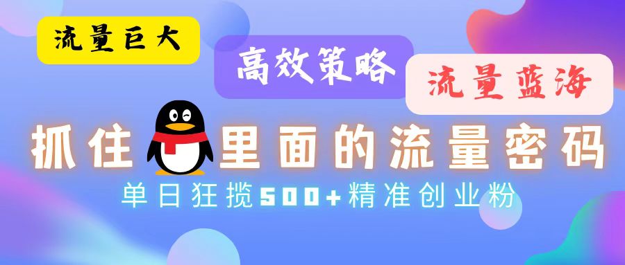 （13068期）流量蓝海，抓住QQ里面的流量密码！高效策略，单日狂揽500+精准创业粉-富爸爸项目圈