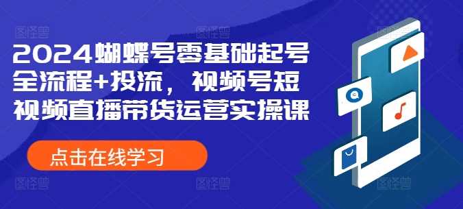 2024蝴蝶号零基础起号全流程+投流，视频号短视频直播带货运营实操课-富爸爸项目圈