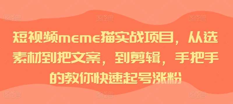 短视频meme猫实战项目，从选素材到把文案，到剪辑，手把手的教你快速起号涨粉-富爸爸项目圈