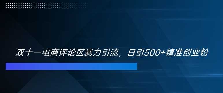 双十一电商评论区暴力引流，日引500+精准创业粉【揭秘】-富爸爸项目圈
