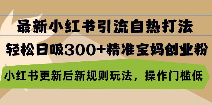 （13145期）最新小红书引流自热打法，轻松日吸300+精准宝妈创业粉，小红书更新后新…-富爸爸项目圈