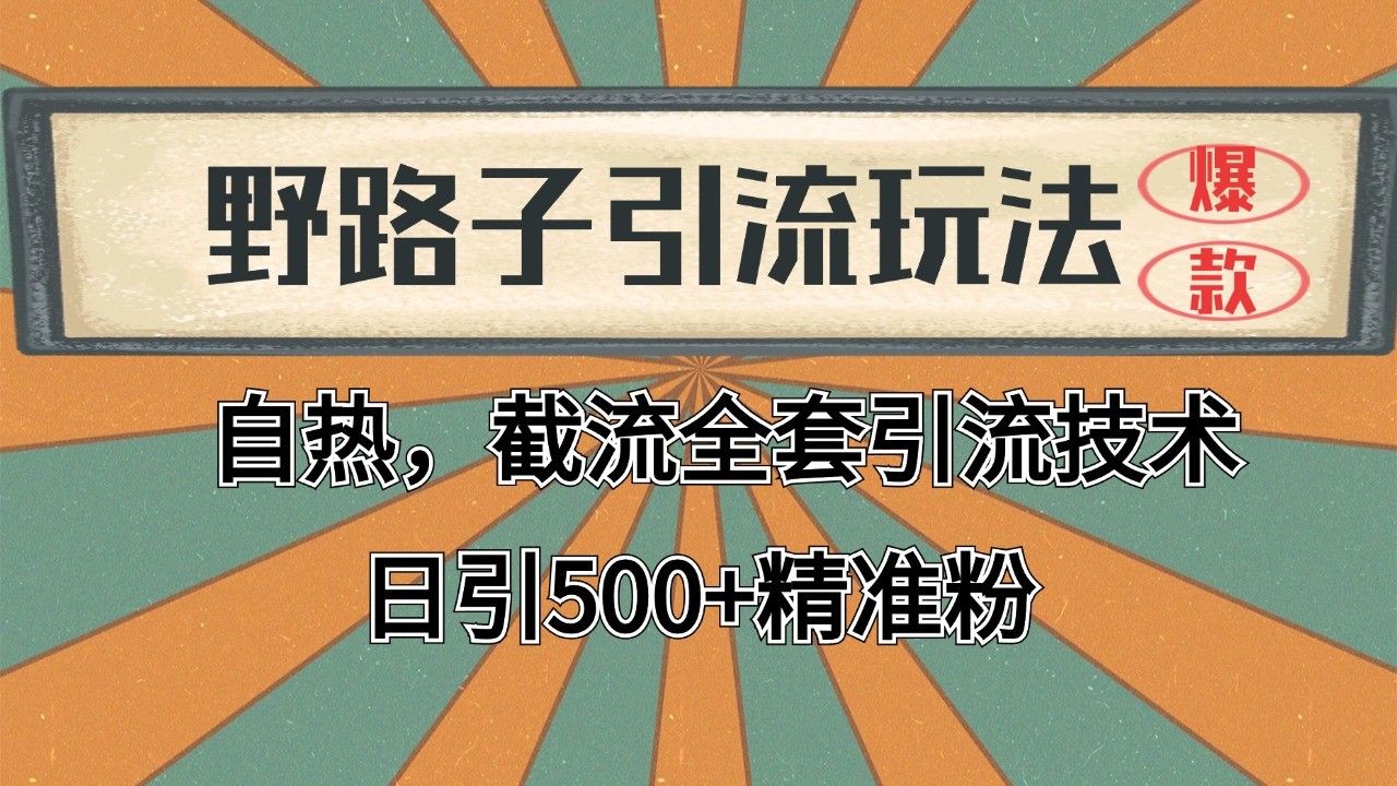 抖音小红书视频号全平台引流打法，全自动引流日引2000+精准客户-富爸爸项目圈