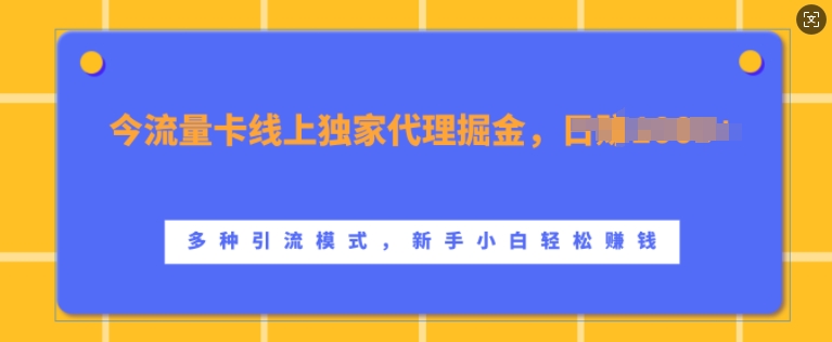 流量卡线上独家代理掘金，日入1k+ ，多种引流模式，新手小白轻松上手【揭秘】-富爸爸项目圈