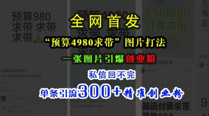 小红书“预算4980带我飞”图片打法，一张图片引爆创业粉，私信回不完，单条引流300+精准创业粉-富爸爸项目圈