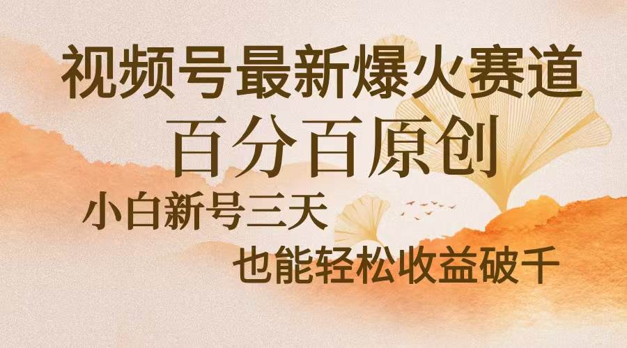 （13225期）视频号最新爆火赛道，中老年粉深信不疑，百分百原创，新号三天收益轻松…-富爸爸项目圈