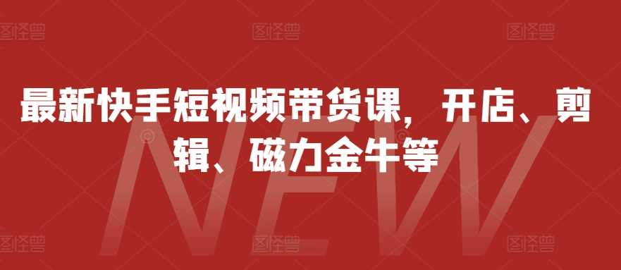 最新快手短视频带货课，开店、剪辑、磁力金牛等-富爸爸项目圈