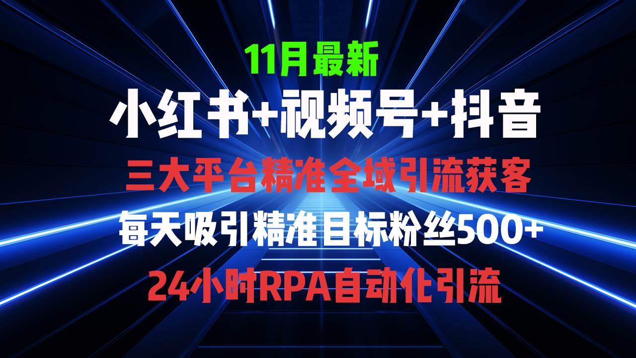（13259期）全域多平台引流私域打法，小红书，视频号，抖音全自动获客，截流自…-富爸爸项目圈