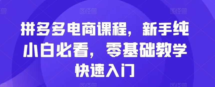 拼多多电商课程，新手纯小白必看，零基础教学快速入门-富爸爸项目圈