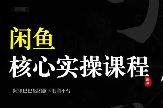 2024闲鱼核心实操课程，从养号、选品、发布、销售，教你做一个出单的闲鱼号-富爸爸项目圈
