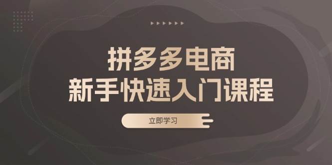 （13289期）拼多多电商新手快速入门课程：涵盖基础、实战与选款，助力小白轻松上手-富爸爸项目圈