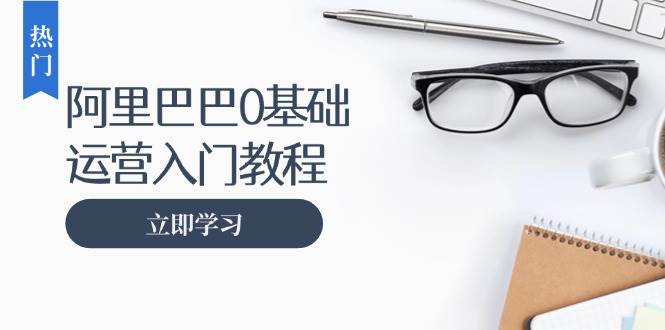 （13291期）阿里巴巴运营零基础入门教程：涵盖开店、运营、推广，快速成为电商高手-富爸爸项目圈