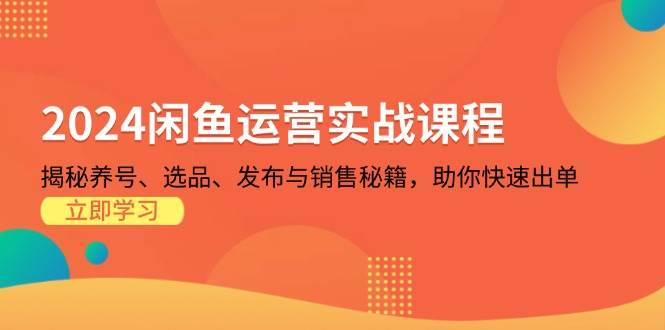 （13290期）2024闲鱼运营实战课程：揭秘养号、选品、发布与销售秘籍，助你快速出单-富爸爸项目圈