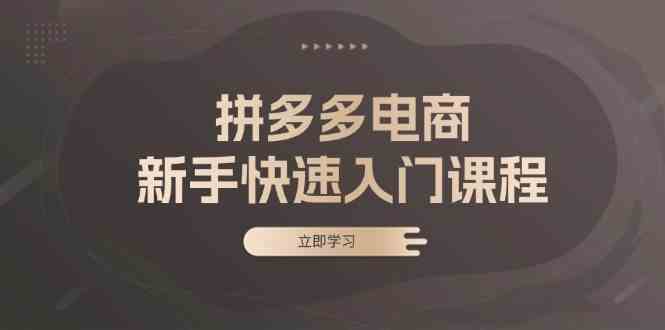 拼多多电商新手快速入门课程：涵盖基础、实战与选款，助力小白轻松上手-富爸爸项目圈