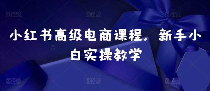 小红书高级电商课程，新手小白实操教学-富爸爸项目圈