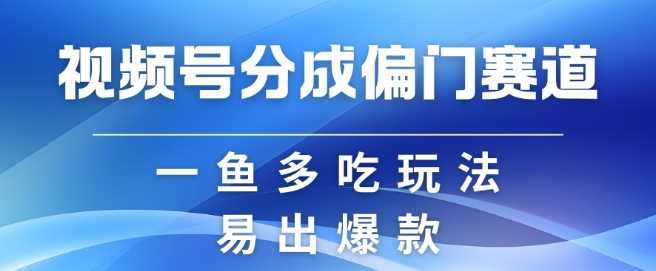 视频号创作者分成计划偏门类目，容易爆流，实拍内容简单易做【揭秘】-富爸爸项目圈