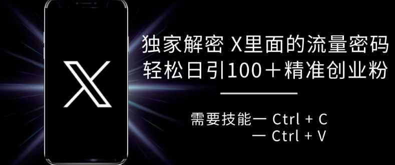 独家解密 X 里面的流量密码，复制粘贴轻松日引100+-富爸爸项目圈