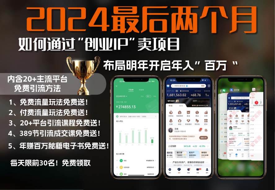 （13322期）2024最后两个月如何通过”创业IP“卖项目年入”百万“,创业IP+最强引流…-富爸爸项目圈