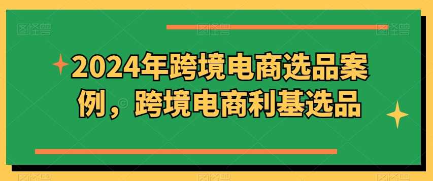 2024年跨境电商选品案例，跨境电商利基选品（更新11月）-富爸爸项目圈