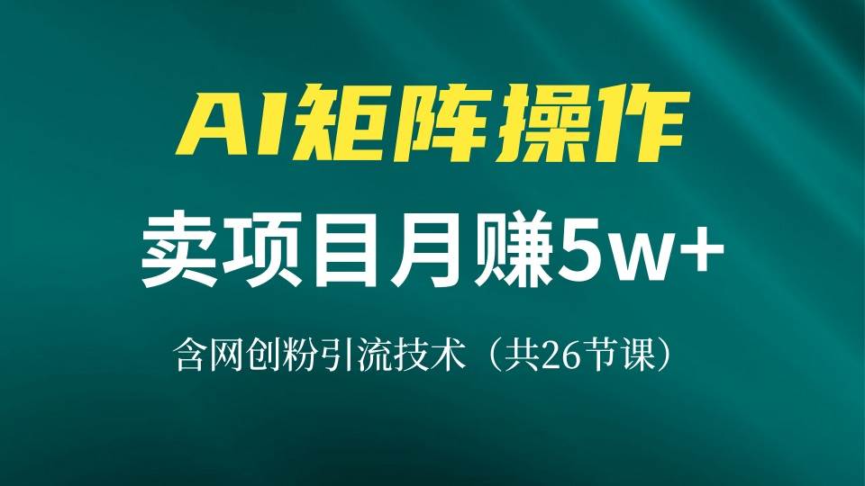 （13335期）网创IP打造课，借助AI卖项目月赚5万+，含引流技术（共26节课）-富爸爸项目圈
