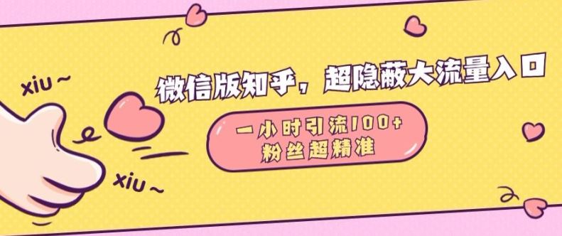 微信版知乎，超隐蔽流量入口1小时引流100人，粉丝质量超高【揭秘】-富爸爸项目圈