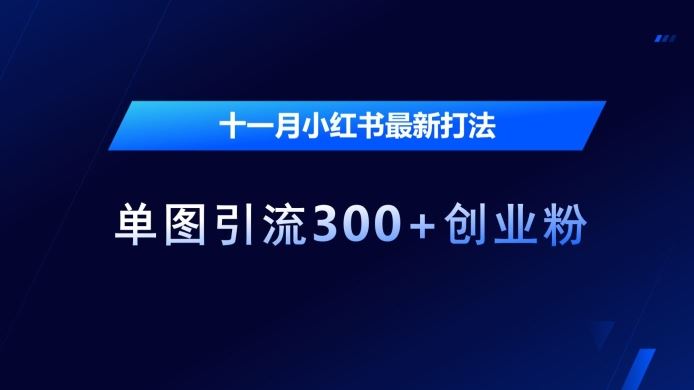十一月小红书最新打法，单图引流300+创业粉【揭秘】-富爸爸项目圈