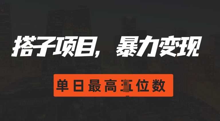 2024搭子玩法，0门槛，暴力变现，单日最高破四位数【揭秘】-富爸爸项目圈