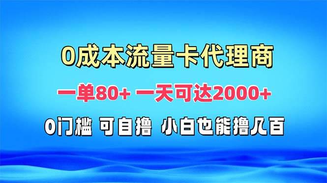 （13391期）免费流量卡代理一单80+ 一天可达2000+-富爸爸项目圈