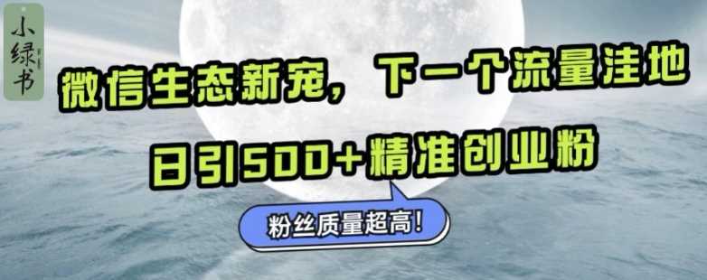 微信生态新宠小绿书：下一个流量洼地，日引500+精准创业粉，粉丝质量超高-富爸爸项目圈