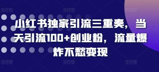 小红书独家引流三重奏，当天引流100+创业粉，流量爆炸不愁变现【揭秘】-富爸爸项目圈