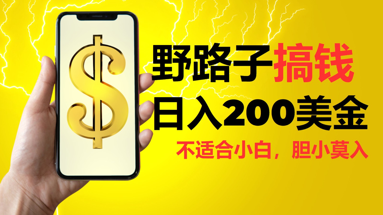 挂机野路子搞钱，日入200美金，路子很野，小白莫入-富爸爸项目圈