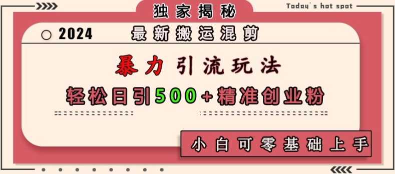 最新搬运混剪暴力引流玩法，轻松日引500+精准创业粉，小白可零基础上手-富爸爸项目圈