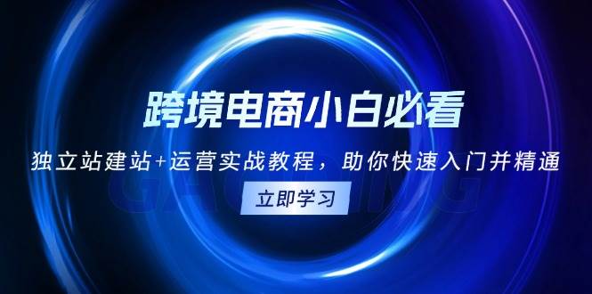 （13503期）跨境电商小白必看！独立站建站+运营实战教程，助你快速入门并精通-富爸爸项目圈