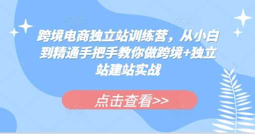跨境电商独立站训练营，从小白到精通手把手教你做跨境+独立站建站实战-富爸爸项目圈