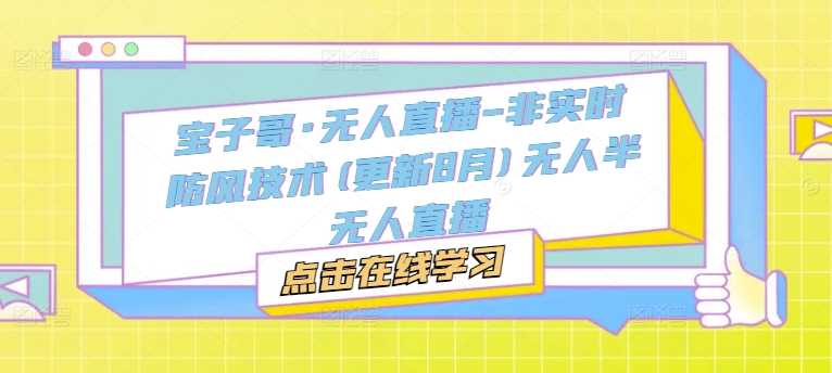 宝子哥·无人直播-非实时防风技术(更新11月)无人半无人直播-富爸爸项目圈