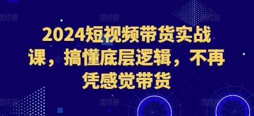2024短视频带货实战课，搞懂底层逻辑，不再凭感觉带货-富爸爸项目圈
