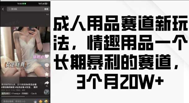 成人用品赛道新玩法，情趣用品一个长期暴利的赛道，3个月收益20个【揭秘】-富爸爸项目圈