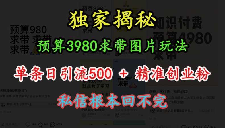 预算3980求带 图片玩法，单条日引流500+精准创业粉，私信根本回不完-富爸爸项目圈