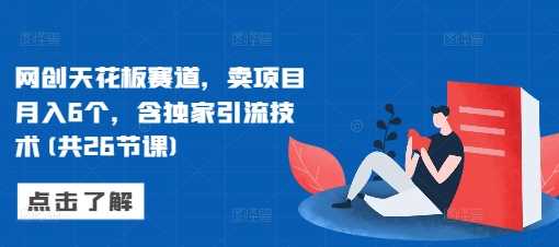 网创天花板赛道，卖项目月入6个，含独家引流技术(共26节课)-富爸爸项目圈