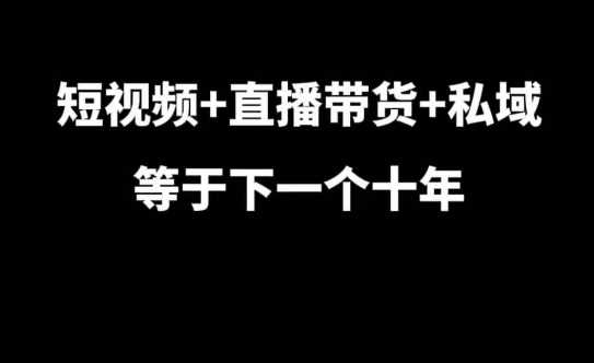 短视频+直播带货+私域等于下一个十年，大佬7年实战经验总结-富爸爸项目圈