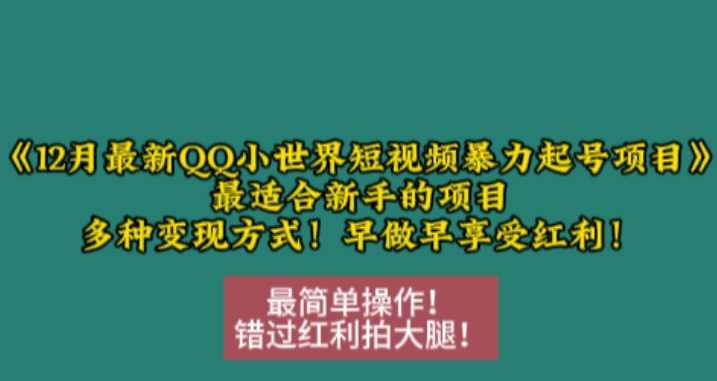 12月最新QQ小世界短视频暴力起号项目，最适合新手的项目，多种变现方式-富爸爸项目圈