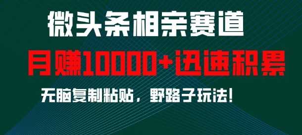 微头条相亲赛道，迅速积累，无脑复制粘贴，野路子玩法，月入1w-富爸爸项目圈