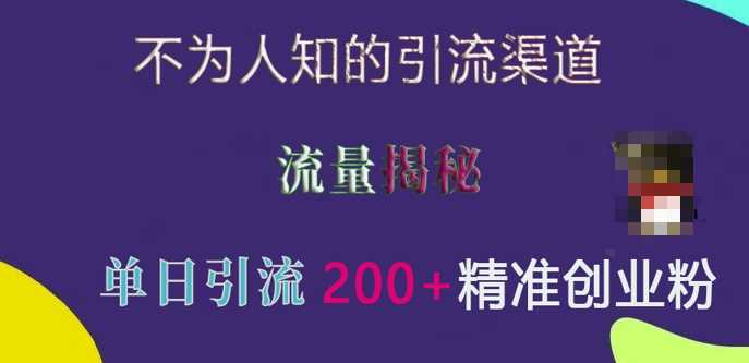 不为人知的引流渠道，流量揭秘，实测单日引流200+精准创业粉【揭秘】-富爸爸项目圈
