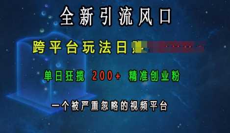 全新引流风口，跨平台玩法日入上k，单日狂揽200+精准创业粉，一个被严重忽略的视频平台-富爸爸项目圈