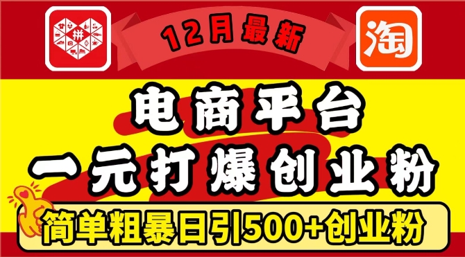 12月最新：电商平台1元打爆创业粉，简单粗暴日引500+精准创业粉，轻松月入过W【揭秘】-富爸爸项目圈