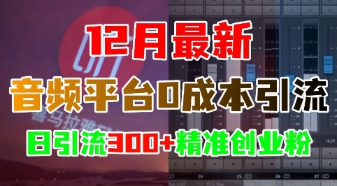 12月最新：音频平台0成本引流，日引流300+精准创业粉-富爸爸项目圈