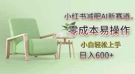小红书减肥AI新赛道，零成本易操作，日入多张，小白轻松上手【揭秘】-富爸爸项目圈