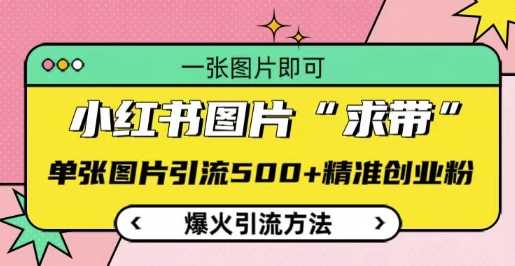 小红书图片‘求带’爆火引流法，单张图片引流500+精准创业粉【揭秘】-富爸爸项目圈