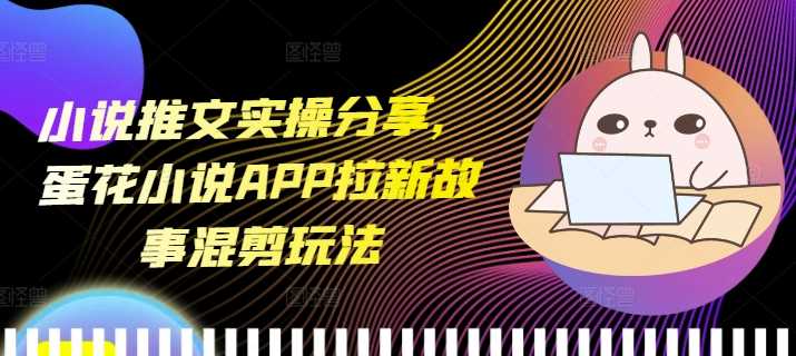 小说推文实操分享，蛋花小说APP拉新故事混剪玩法-富爸爸项目圈