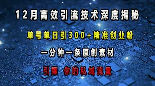 最新高效引流技术深度揭秘 ，单号单日引300+精准创业粉，一分钟一条原创素材，引爆你的私域流量-富爸爸项目圈