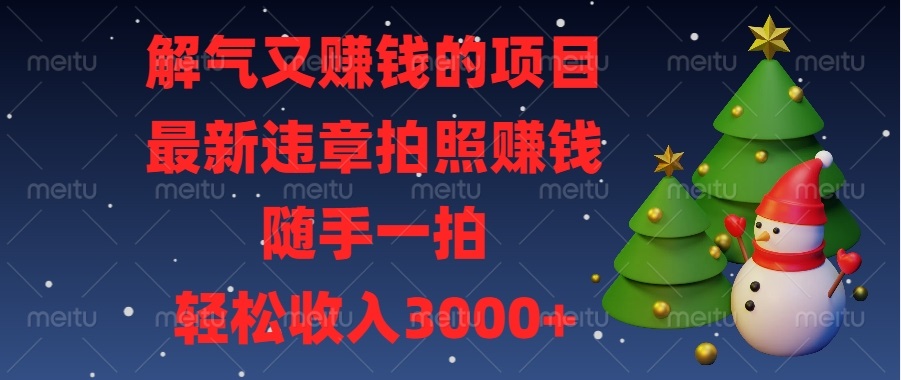 （13686期）解气又赚钱的项目，最新违章拍照赚钱，随手一拍，轻松收入3000+-富爸爸项目圈